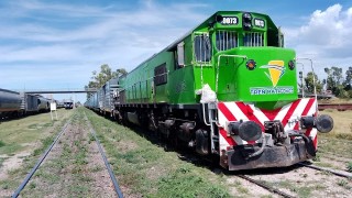 Tren Patagonico sigue con la carga