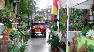 Feria de flores y plantas tropicales en Madrid Puerta de Atocha
