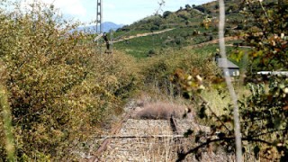 De Cosmos a Villafranca del Bierzo (1 de 2)