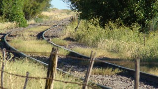 Por la vuelta del Tren
