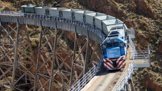 Mas de Tren Patagonico