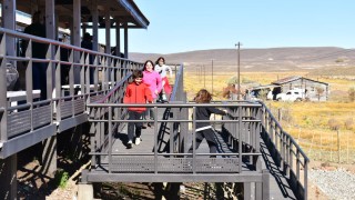 Viajar por La Trochita