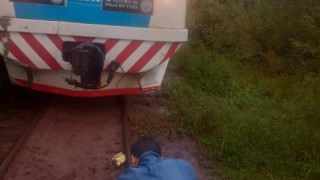 Acto repudiable con un animal