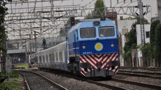 Regresarian los Talgo al Servicio